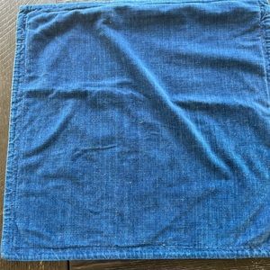 Pottery Barn washed velvet pillow cover